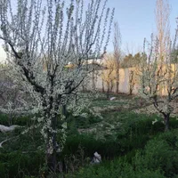 باغچه ۴۶۸ متری تهراندشت سرخاب با کنتور برق اقساطی|فروش زمین و ملک کلنگی|هشتگرد, تهران دشت|دیوار