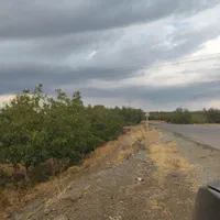 باغ زمین کشاورزی 500متری پل زمانخان سند دار|فروش دفتر صنعتی، کشاورزی، تجاری|اصفهان, آزادگان|دیوار