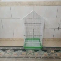 قفس بزرگ