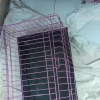قفس خوکچه خرگوش