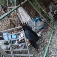 فروش درب انبار|مصالح و تجهیزات ساختمان|آزادشهر, |دیوار