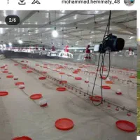 مرغداری فروش یا معاوضه با ملک تو تهران|اجارهٔ دفتر صنعتی، کشاورزی، تجاری|آبدانان, |دیوار