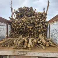 چوب|خدمات باغبانی و درختکاری|کوهنانی, |دیوار