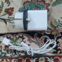 سارژر سامسوتگ اصل