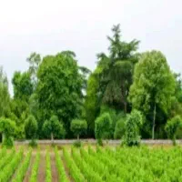 زمین دامداری صنعتی تازه شهر بابهترین موقعیت