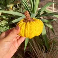 کدو گوشواره، بلوط و،برگ های بافتنی پاییز و یلدا|صنایع دستی و سایر لوازم تزئینی|اسلامشهر, شهرک لاله|دیوار