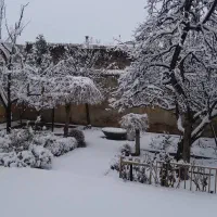 کود گوسفندی