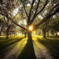 پایه کوهنوردی و طبیعت‌گردی