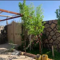 کاخ-تنگ-چنار