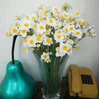 گل نرگس|گل مصنوعی|تهران, اوقاف|دیوار