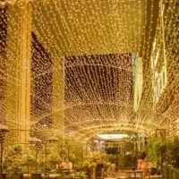 ریسه صد متری