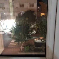 خدماتی فروشی بلوار سعدی|فروش دفتر کار، اتاق اداری، مطب|سمنان, |دیوار