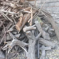 خرید چوب و هرس درختان