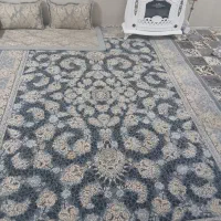 قالی ۹ متری|فرش|خمینی‌شهر, |دیوار