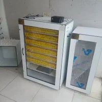 دستگاه های جوجه کشی محمدی درنا|لوازم جانبی حیوانات|مشهد, مشهدقلی|دیوار