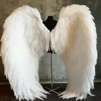 مجله پرسش ها از اساتید ماورا و جفر د ا ر م