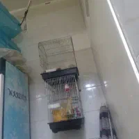 اجاره-محوطه