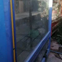 دو عدد یخچال سوپر مارکت|فروشگاه و مغازه|دلند, |دیوار