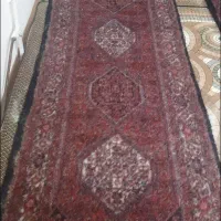 فرش کناره ی دستبافت باختر دو عدد|فرش|زنجان, |دیوار