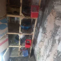 قفس جفتگاه قفس مرغ و دسته تور