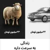 کارآفرینی و درآمد زایی|خدمات آموزشی|قم, بلوار امین و ساحلی|دیوار