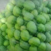 انبه|خوردنی و آشامیدنی|میناب, |دیوار