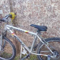 دوچرخه|دوچرخه، اسکیت، اسکوتر|تربت جام, شهید مدرس|دیوار