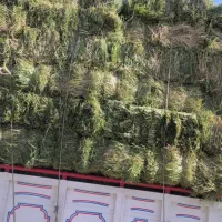 یونجه و کلش درجه یک.