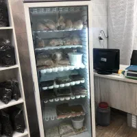 فریزر ایستاده