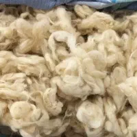 پشم خالص گوسفندی