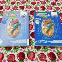 کتاب مبتکران کنکوریوم فرمول بیست خیلی سبز معجزه|فعالیت داوطلبانه|یاسوج, |دیوار