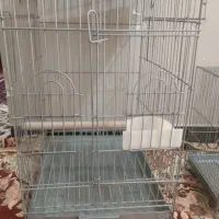 انواع قفس پرنده .