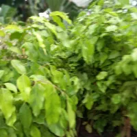 برای رفع بی‌خوابی چه پیشنهادی دارید