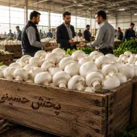 کاه گندم درجه یک پرس بزرگ ۳۵۰ کیلویی با کیفیت|خوردنی و آشامیدنی|کرج, میدان میوه و تره بار مرکزی|دیوار
