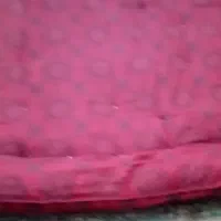 فروش خوش خواب پنبه ای دست دوز دو نفره|تشک تختخواب|شیراز, تاچارا|دیوار