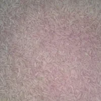 گندم بذری دیم بوجار شده