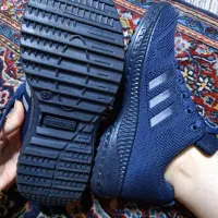 کتانی adidas|کیف، کفش، کمربند|رشت, کاکتوس|دیوار