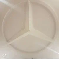 گچکاری و ابزار|خدمات پیشه و مهارت|نظرآباد, نظرآباد|دیوار