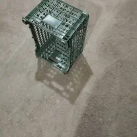سبد میوه وگوجه و غیره