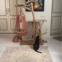 لوازم جانبی حیوانات اسکرچر