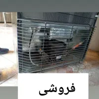 یخچال نو وتمیز