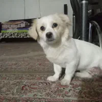 سرگرمی و فراغت