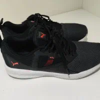 کتونی پوما اورجینال|کیف، کفش، کمربند|فردوس (خراسان), |دیوار