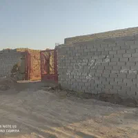 زمین-باغی