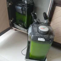 آکواریوم|ماهی|اردبیل, |دیوار