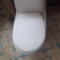 فرنگی ایتالیایی در حد نو