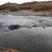 زمین کشاورزی ۱۵هکتار ملکی بااب فراوان