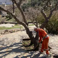 نیروی کار جهت نگهداری و نظافت پارک|استخدام سرایداری و نظافت|سنندج, |دیوار