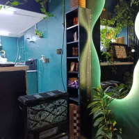 واگذاری کافه با تمام امکانات|کافیشاپ و رستوران|شیراز, پشم شیشه|دیوار