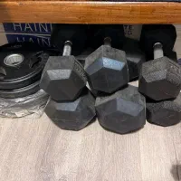 دمبل و میز و میله هالتر